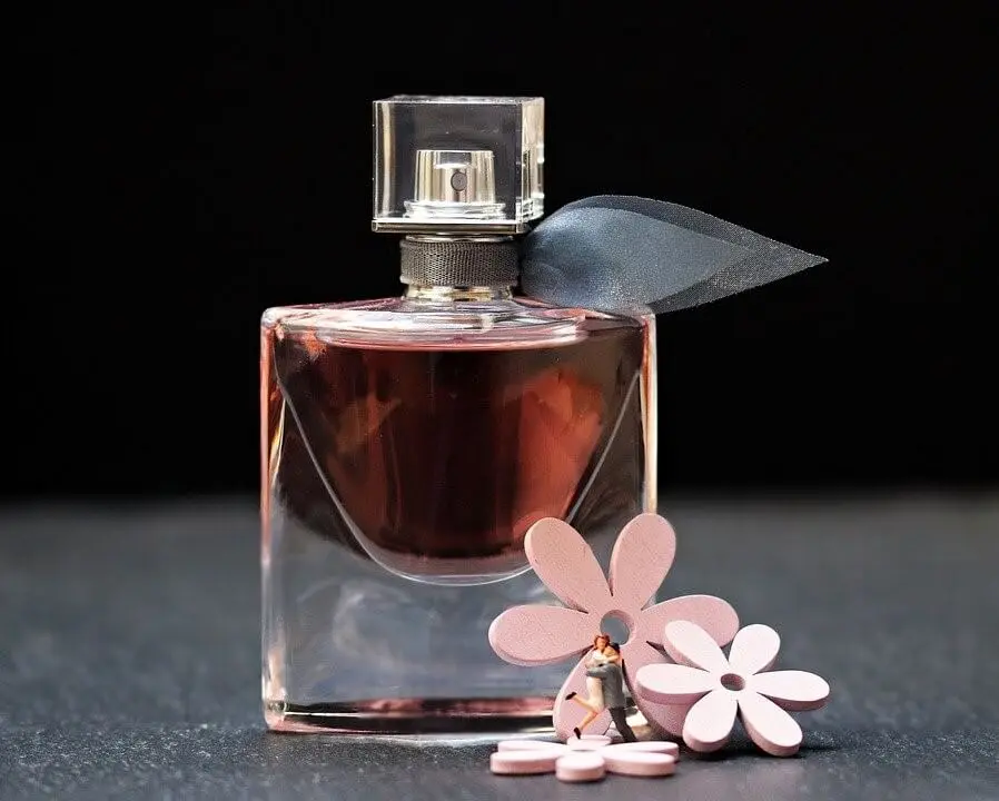 کدام عطر برای مهمانی انتخاب بهتری است؟ بررسی کامل و ساده