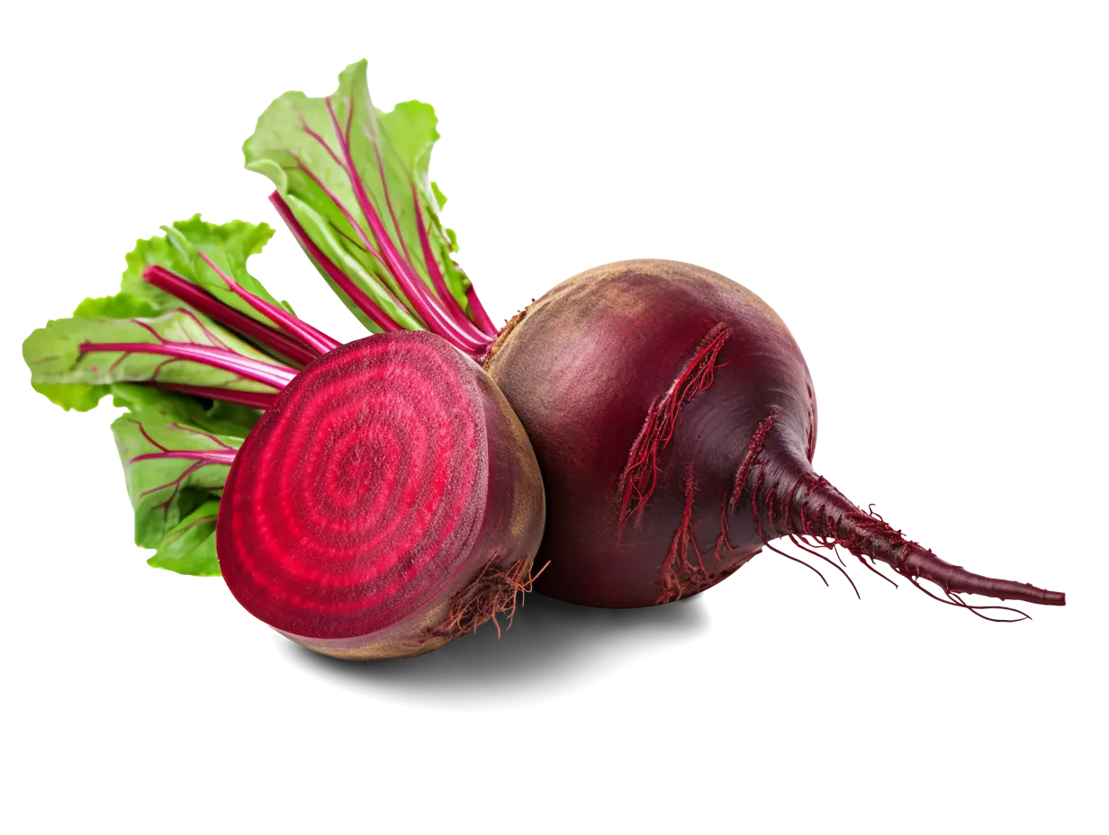 سوپ کلم قرمز گرم و خوشمزه با مواد اولیه تازه