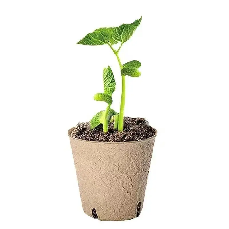 بهترین گلدان نشا؛ قبل از انتخاب این نکات را ببینید