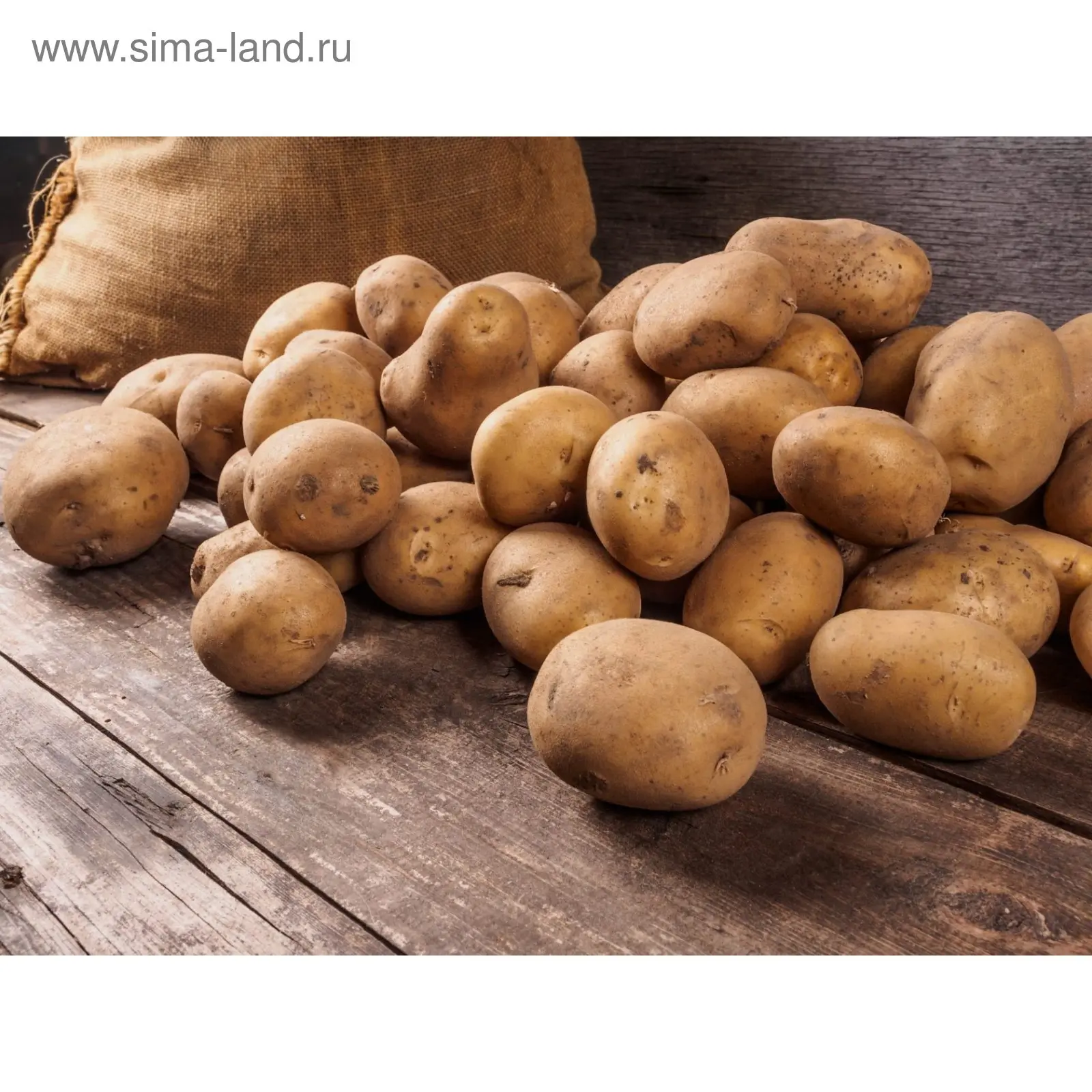 سیب‌زمینی‌های سرخ شده با سطح طلایی و یکدست