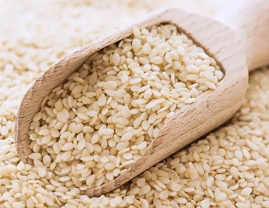 مقایسه گزینه‌های کنجد؛ چطور بهترین انتخاب را داشته باشیم؟