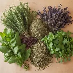 سبزیجات تازه و پاک شده برای استفاده در خورشت