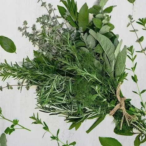 خورشت تازه با سبزیجات متنوع