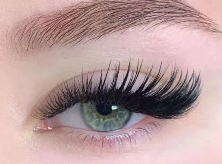 نمونه‌ای از فرمژه پلاستیکی با طراحی ساده و رنگ‌های یکنواخت