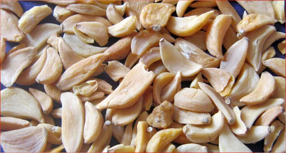 سیر خشک در بسته‌بندی مناسب برای نگهداری طولانی‌مدت