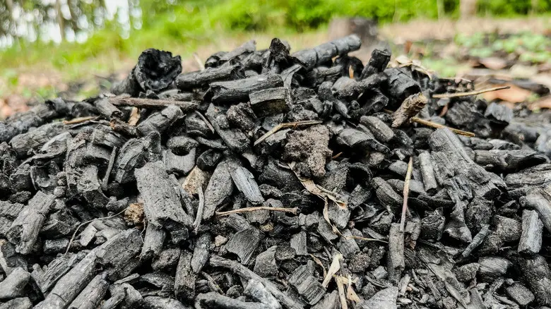 نمونه استفاده از زغال طراحی در طراحی معماری و صنعتی