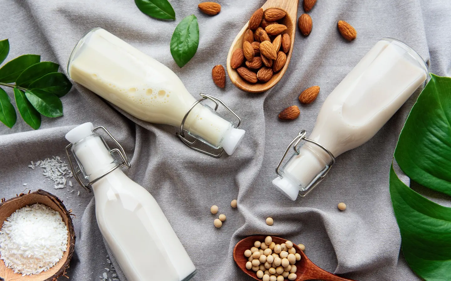 انواع شیر گیاهی خانگی شامل بادام، لوبیا، جو و گندم