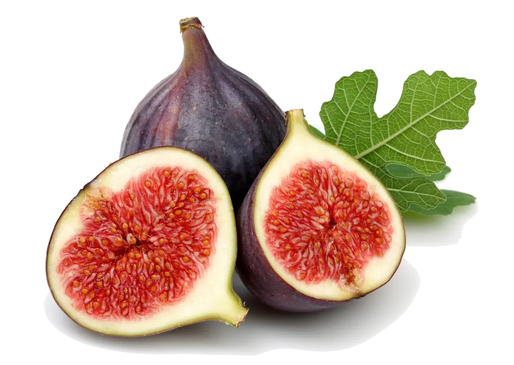 انجیر تازه با رنگ طبیعی و بافت مناسب