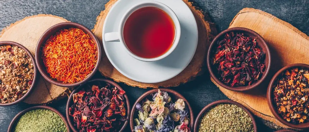 بهترین دمنوش گیاهی؛ گزینه‌های مناسب را چطور انتخاب کنیم؟