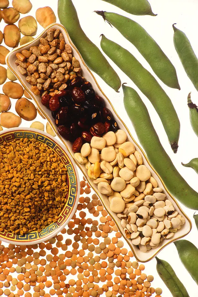 راهنمای انتخاب حبوبات برای مصرف روزانه؛ نکات مهمی که باید بدانید