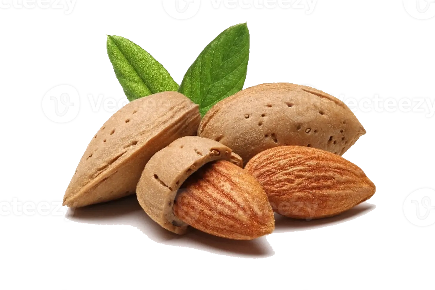 مقایسه گزینه‌های بادام؛ چطور بهترین انتخاب را داشته باشیم؟