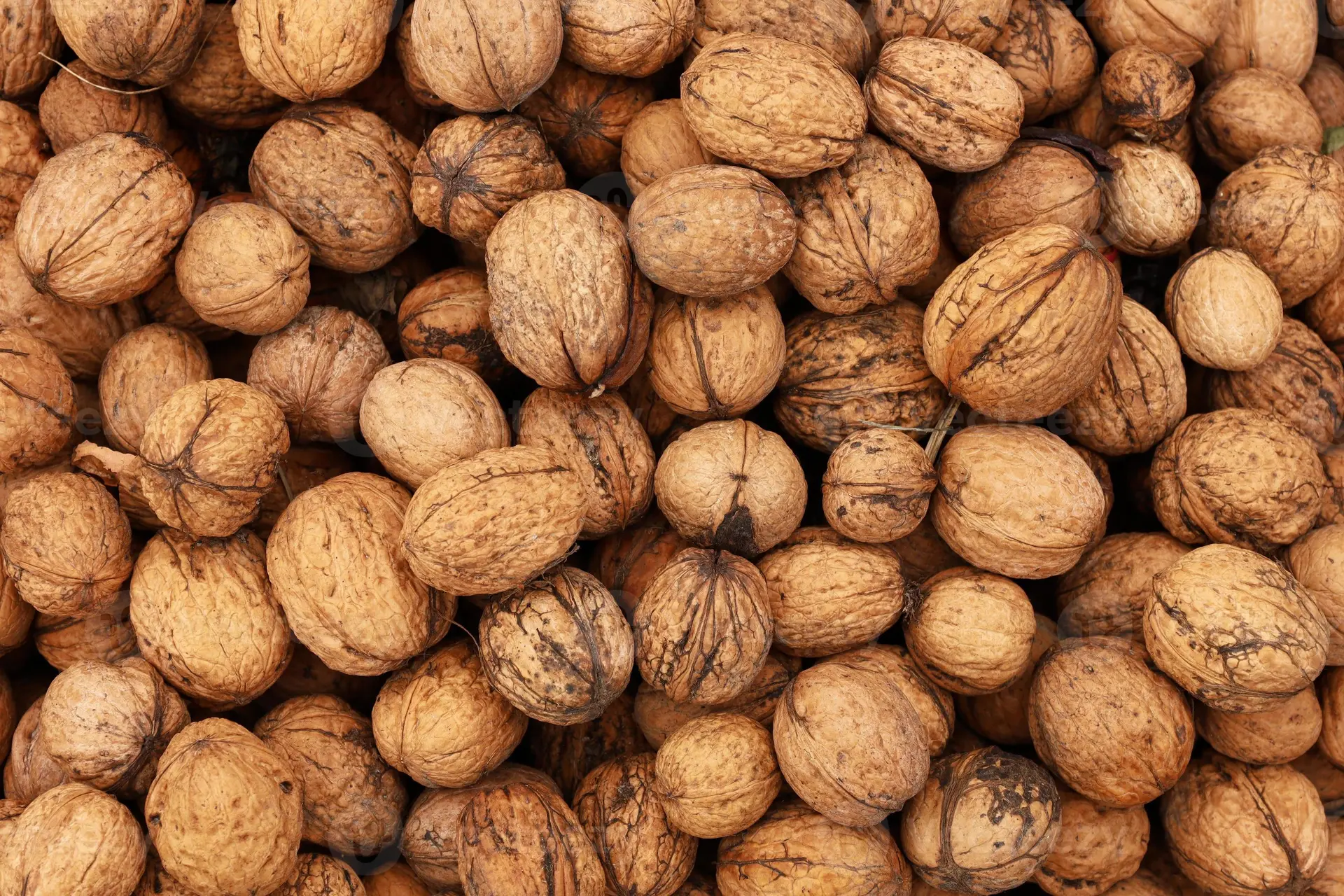 گردوهای تازه با پوسته سالم و بدون آسیب