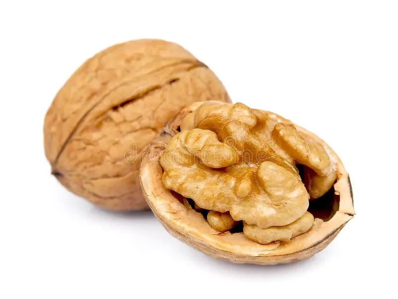 مغز گردو خشک شده با کیفیت و بدون افزودنی