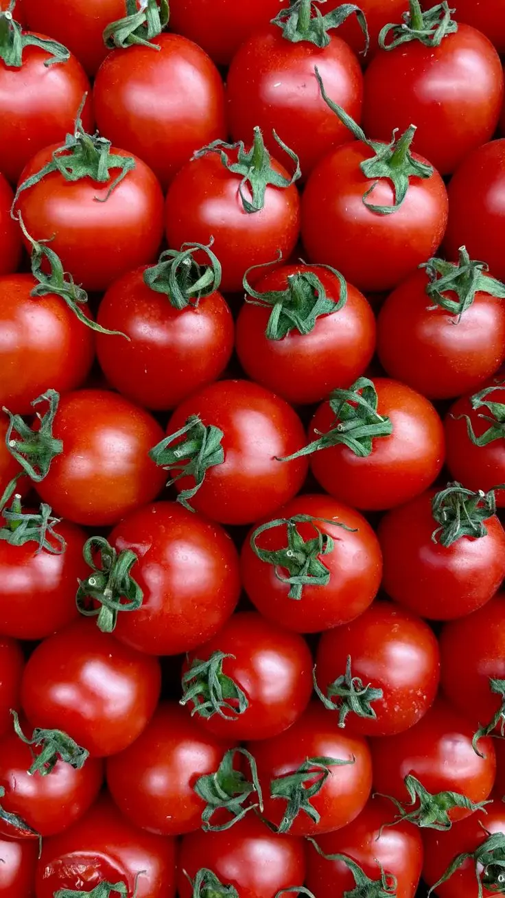 گوجه گیلاسی در ظرف شیشهای برای نگهداری
