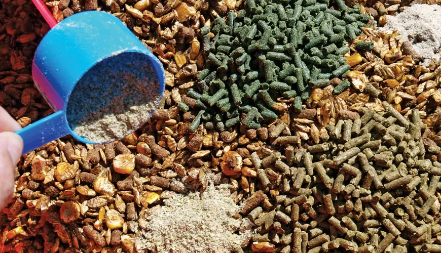 خرید خوراک دام؛ آنچه درباره راهنمای انتخاب خوراک باکیفیت باید بدانید