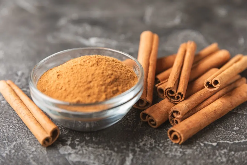 مقایسه گزینه‌های دارچین؛ چطور بهترین انتخاب را داشته باشیم؟
