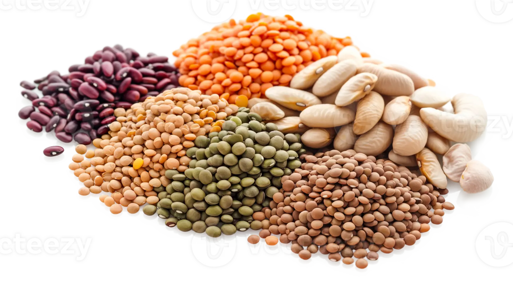گوناگونی حبوبات شامل عدس، لوبیا، ماش و نخود در یک آرایش زیبا