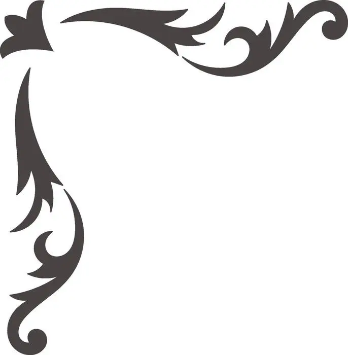 کدام گونیا انتخاب بهتری است؟ بررسی کامل و ساده