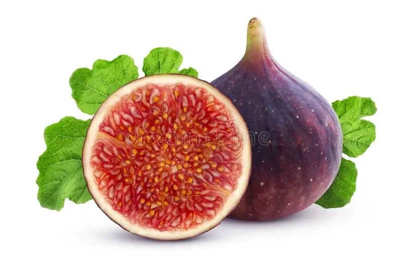 انجیر تازه بدون لکه و با بافت سالم