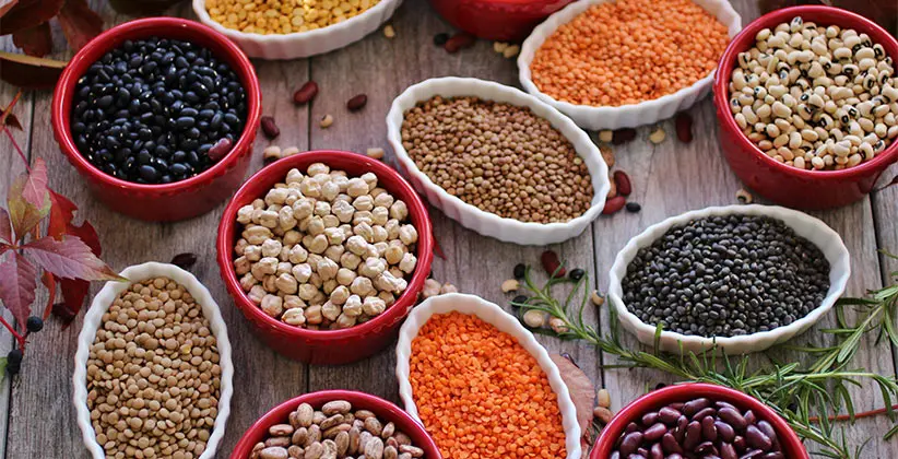 نمونههای مختلف حبوبات خشک و تازه