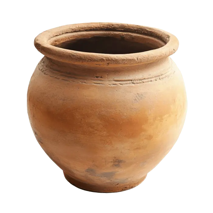 خرید گلدان دکوری؛ راهنمای انتخاب برای منزل به زبان ساده