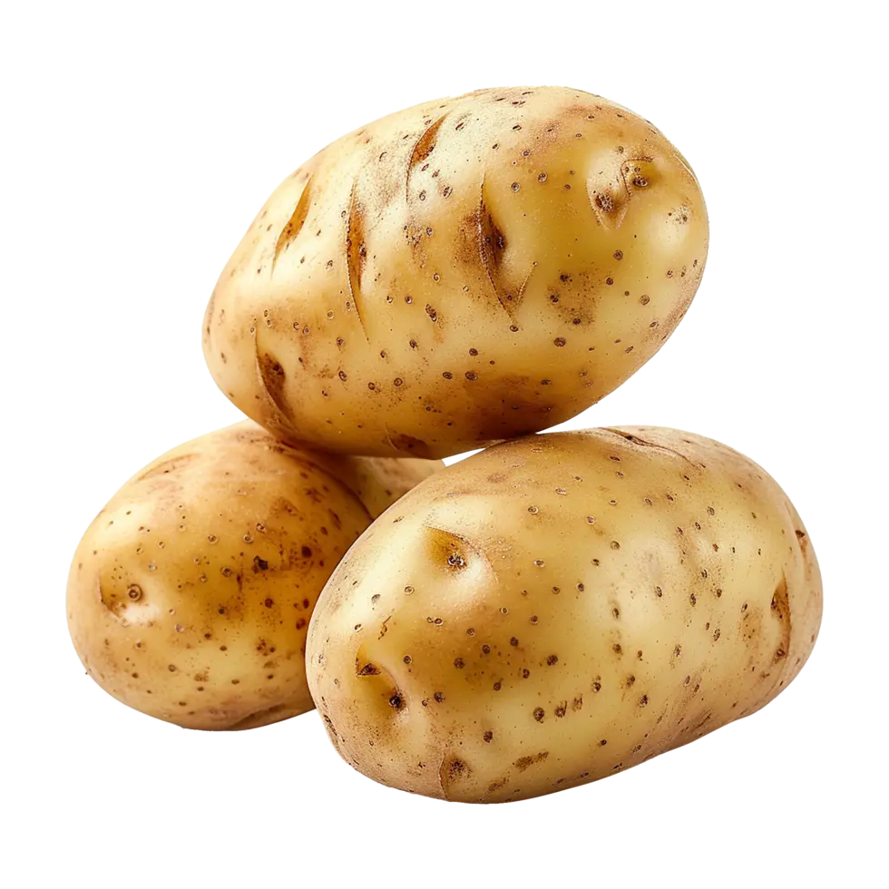 سیب‌زمینی‌های تازه و یکدست برای سرخ کردن