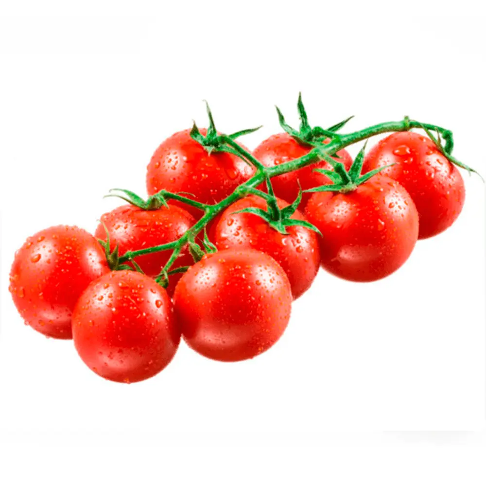 راهنمای انتخاب گوجه گیلاسی؛ نکات مهمی که باید بدانید