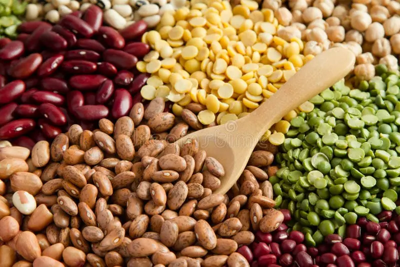 تنوع حبوبات در قاشق چوبی