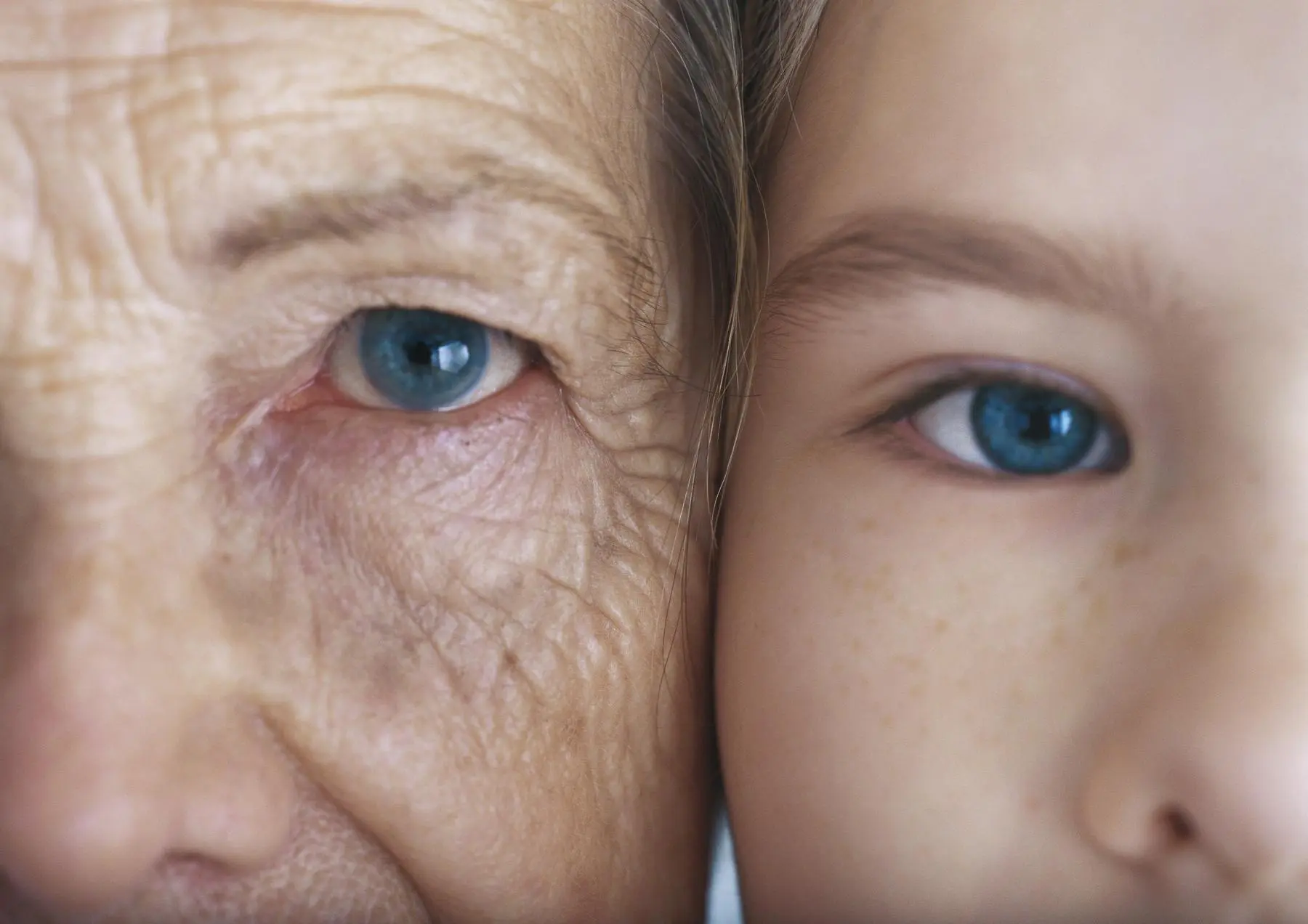 یک پزشک در حال انجام آزمایش خون در آزمایشگاه