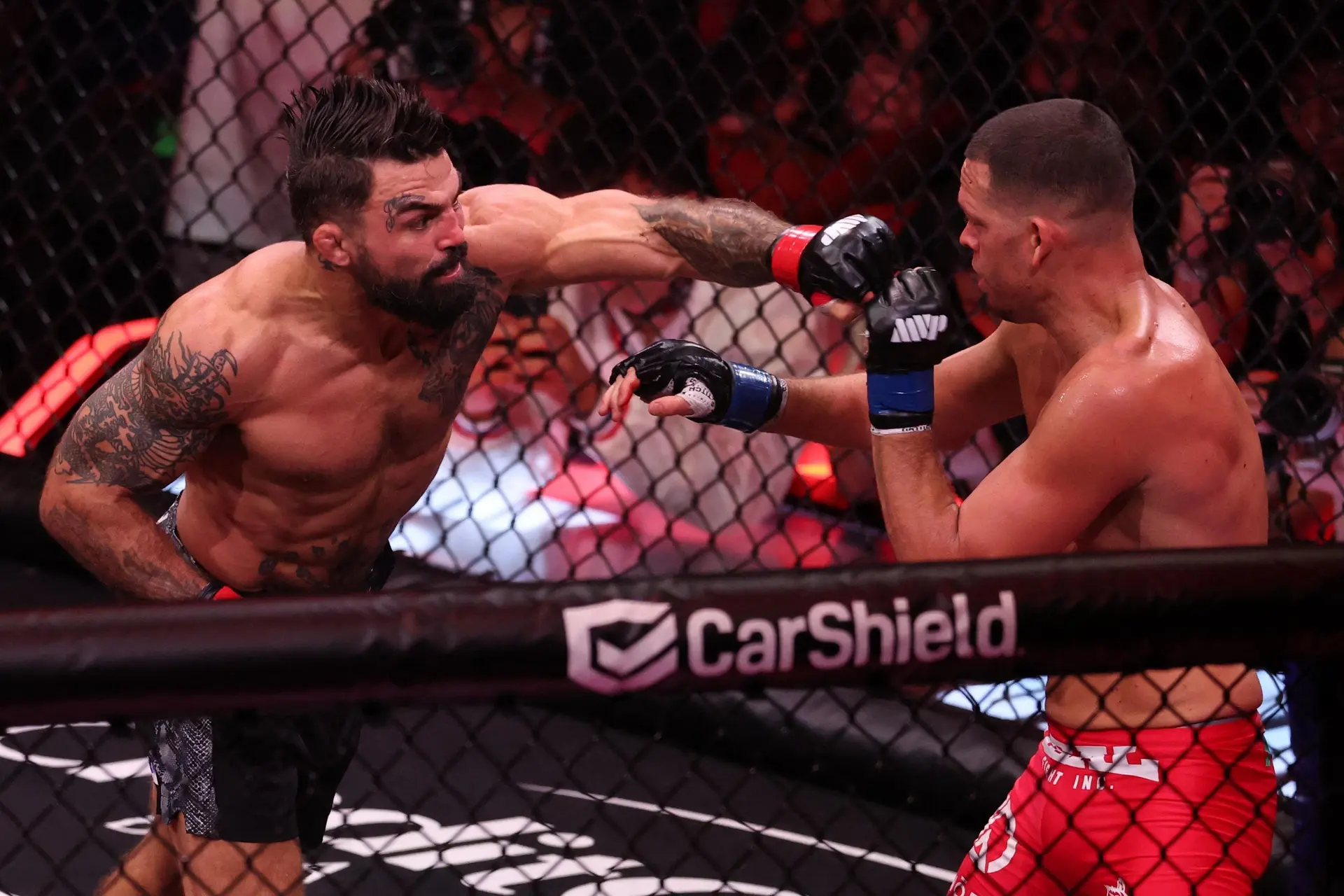 مبارزان UFC در حین تمرین با تجهیزات محافظتی و تجهیزات تمرینی