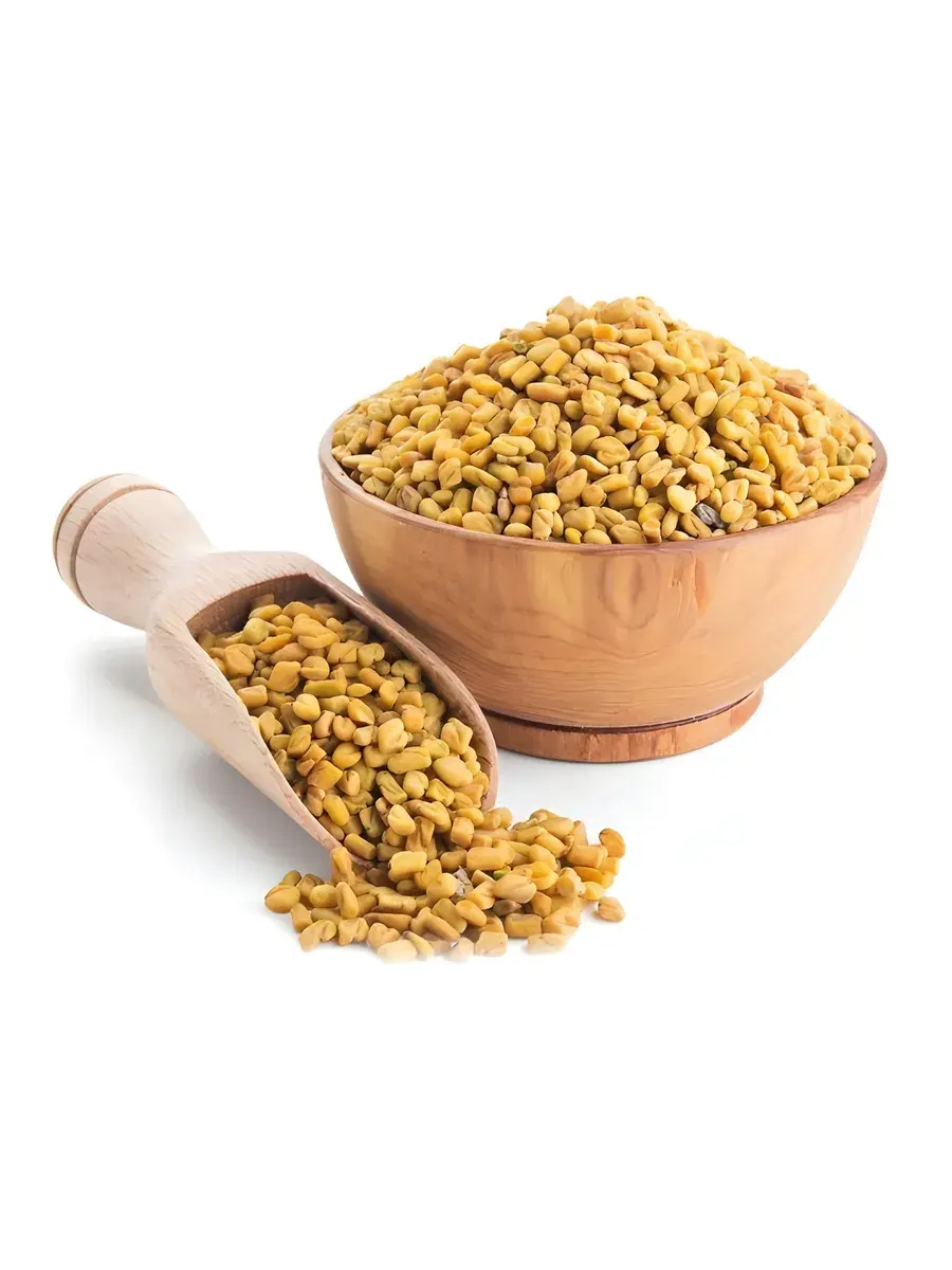 بذرمال چیست و چه کاربردی دارد؛ نکات مهم و کاربردی