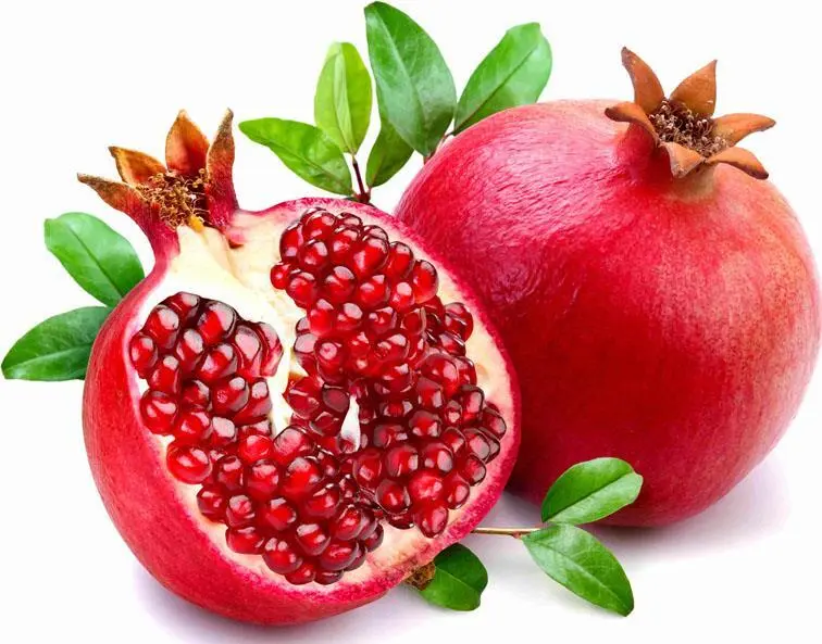 انار چگونه کاشته و نگهداری می‌شود؛ یک راهنمای کامل برای تصمیم بهتر