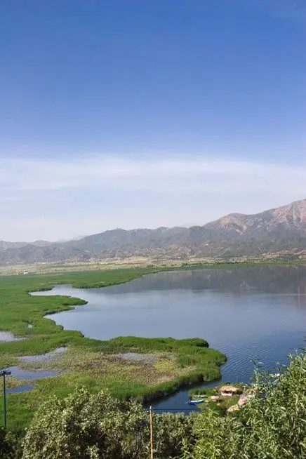 منظره روستایی اطراف دریاچه زریوار با چمن‌زارهای سبز و درختان بلوط