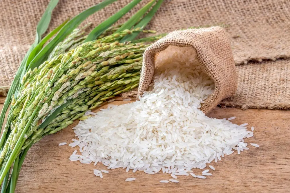 قیمت برنج چگونه از تولید، واردات و نرخ ارز تأثیر می‌گیرد؛ راهنمای ساده برای شروع