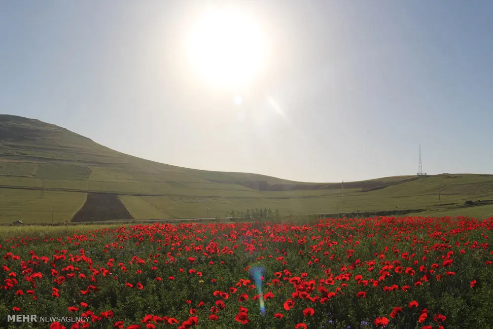 منظره کوهستانی آذربایجان شرقی، یکی از جاذبههای طبیعی این استان
