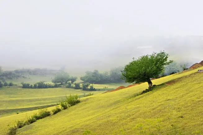راهنمای سفر به کلاردشت؛ از پایه تا نکات کاربردی
