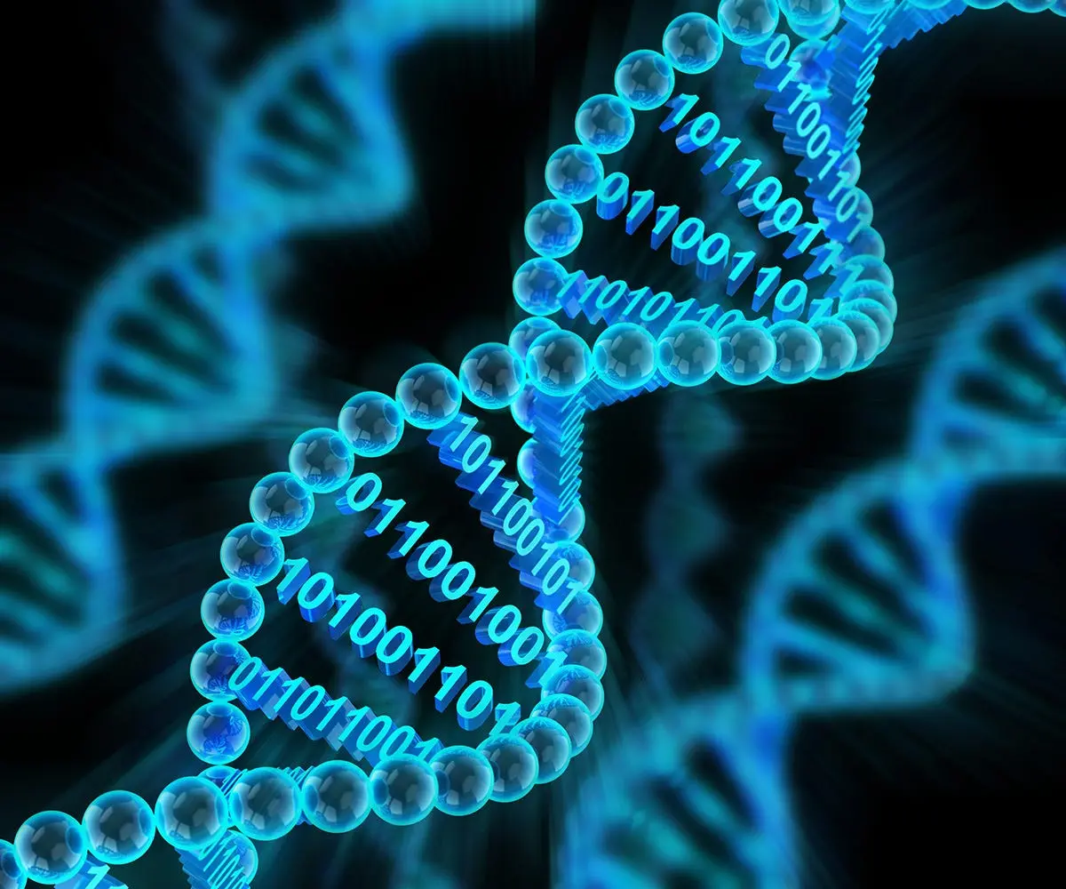 نمونهای از ساختار مولکولی DNA که نشاندهنده کدگذاری اطلاعات در رشتههای ژنتیکی است