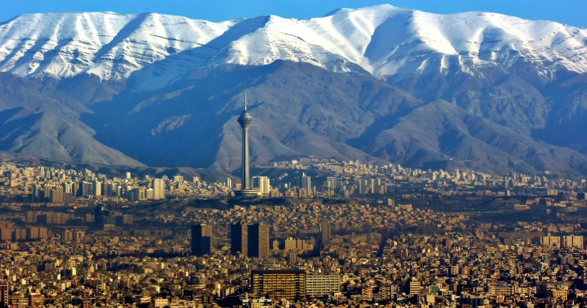 منظره جنگل‌های هیرکانی در رامسر با درختان بلند و هوای پاک