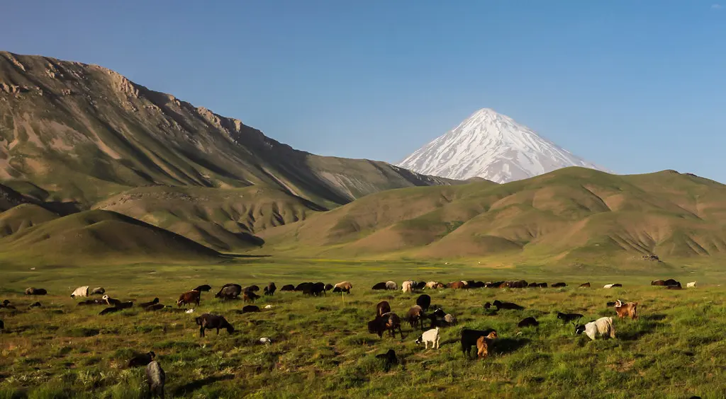 راهنمای انتخاب دشت‌های ایران برای سفر در فصل بهار؛ نکات مهمی که باید بدانید