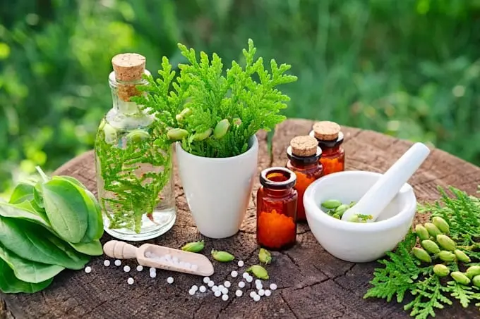 داروهای گیاهی چه زمانی نیاز به احتیاط بیشتری دارند؛ پاسخ به پرسش‌های مهم