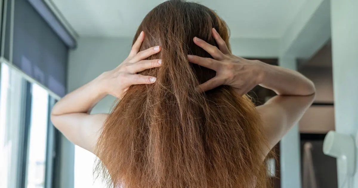 ز موهای خشک مراقبت کنیم؛ مزایا، نکات و اشتباهات رایج برای شروع درست