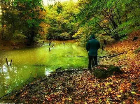غذاهای محلی کلاردشت شامل آش سنتی و کباب با سبزیجات تازه