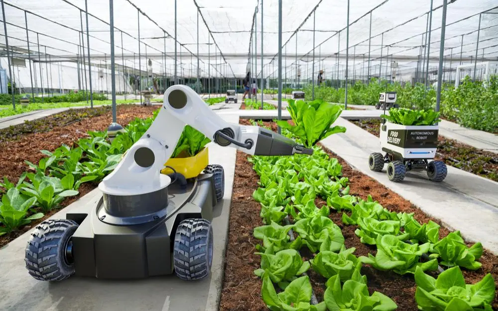 فناوری AgTech چیست و چگونه کشاورزی را متحول می‌کند؛ نکات مهم و کاربردی