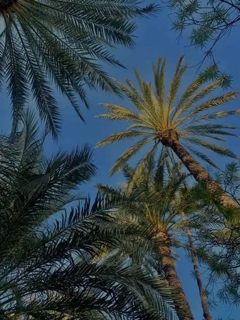 یک فرد در حال نوشیدن آب در روز گرم تابستانی