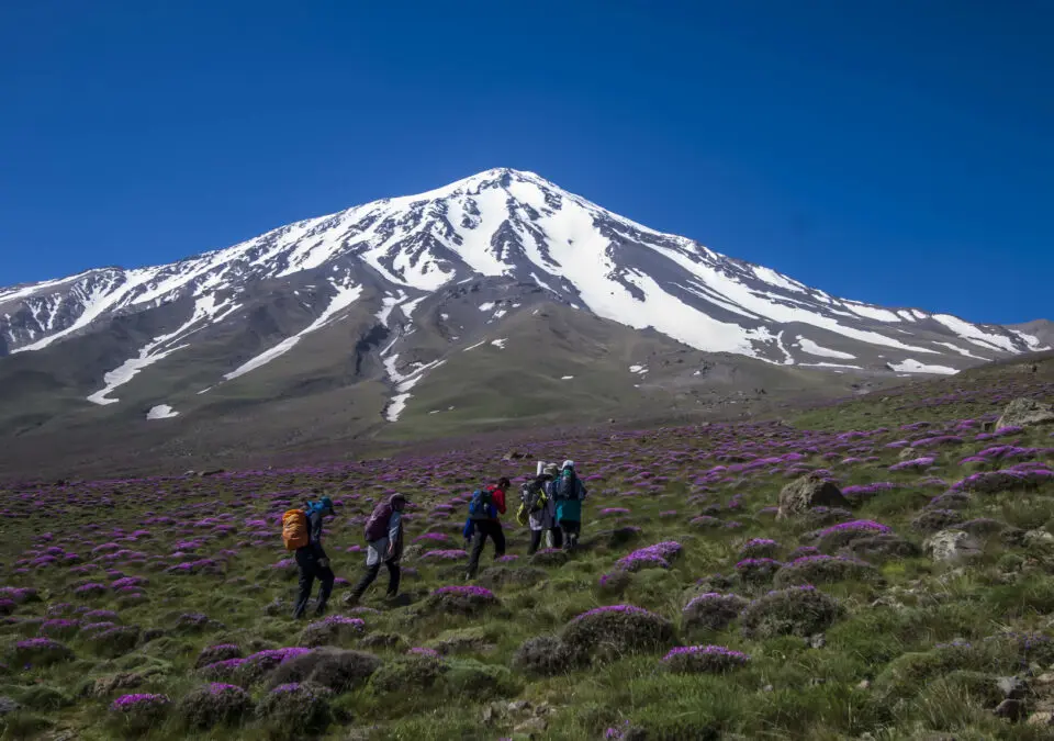 منظره کوهستانی دشت لار با آبشارهای طبیعی و جنگلهای سرسبز