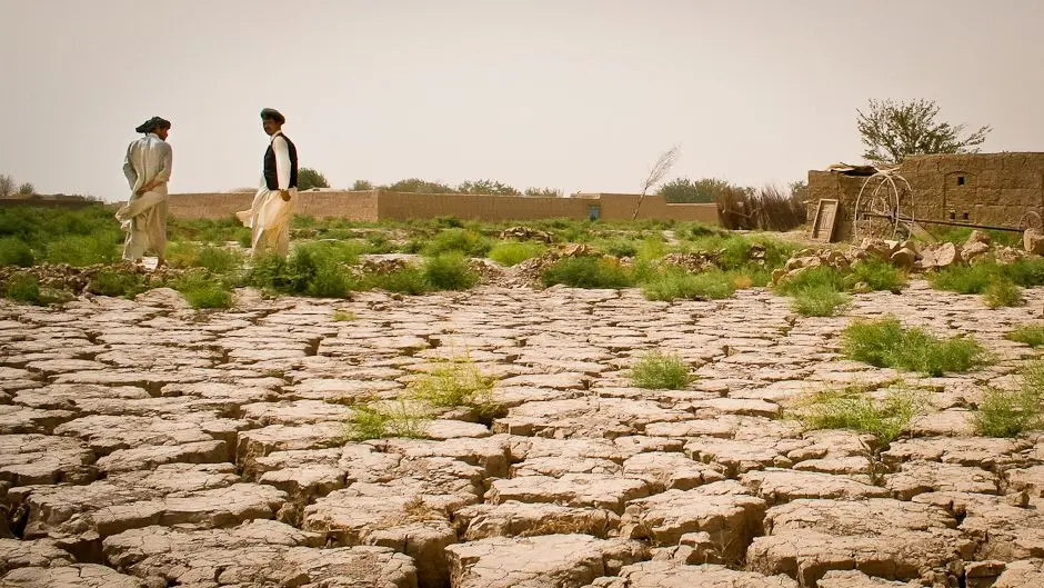 بیابان‌زایی چگونه کشاورزی را تهدید می‌کند؛ راهنمای کامل و کاربردی