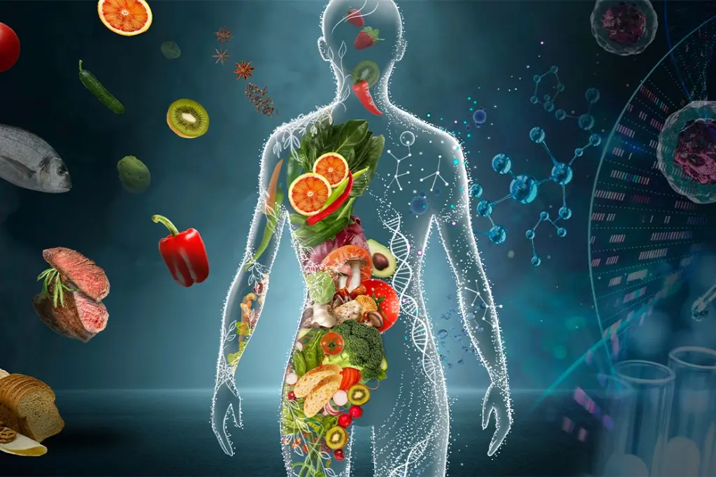 غذاهای سالم و متنوع برای تغذیه صحیح