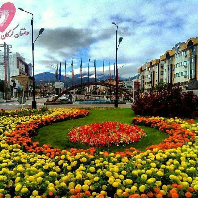 دشت گل‌های رنگارنگ در نزدیکی گرگان در فصل بهار