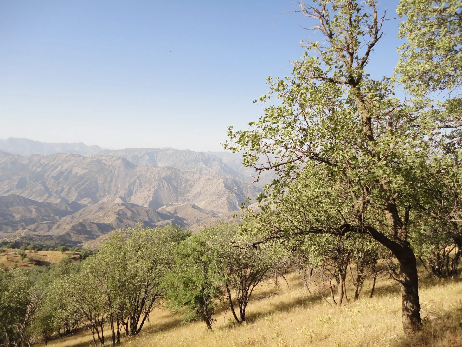 رشته‌کوه زاگرس چه جاذبه‌های گردشگری دارد؛ راهنمای ساده برای شروع