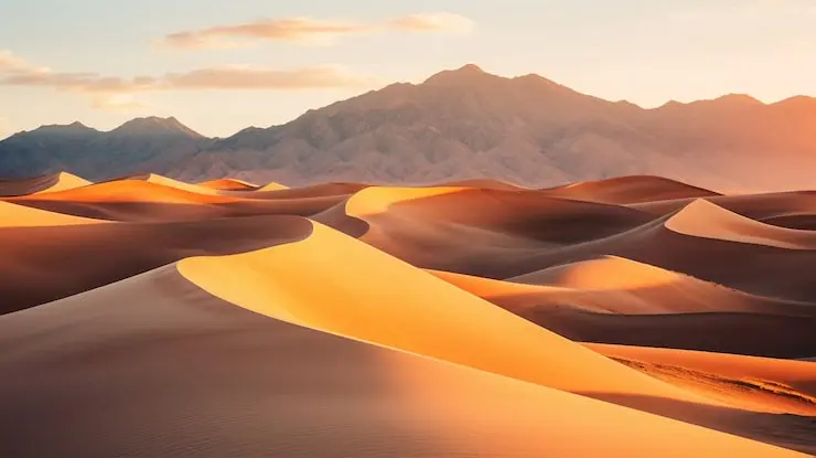 منظره بیابانی با شنهای طلایی و آسمان صاف
